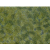 Noch 07250 , Mata trawiasta -  Liście okrywowe średnio zielone , 12 x 18 cm