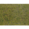 Noch 07254 , Segment krajobrazu - łąka zielona / brązowa   , 12 x 18 cm