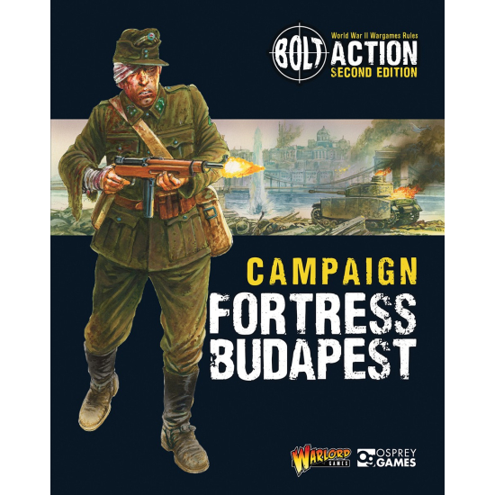 Campaign Fortress Budapest books