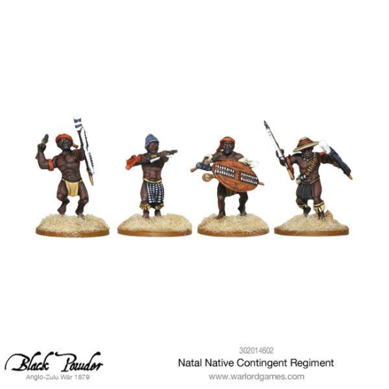 Natal Native Contingent Regiment 302014602