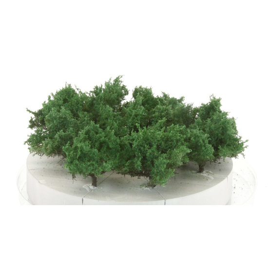 Freon KRS S - Krzewy Średnia zieleń , wysokość 2-4 cm 10szt.