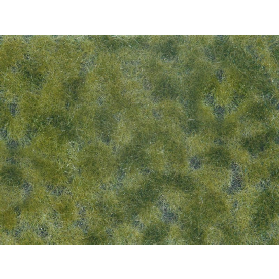 Noch 07250 , Mata trawiasta -  Liście okrywowe średnio zielone , 12 x 18 cm
