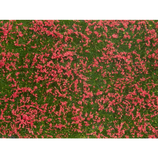 Noch 07257 , Segment krajobrazu - Czerwona łąka okrywowa , 12 x 18 cm